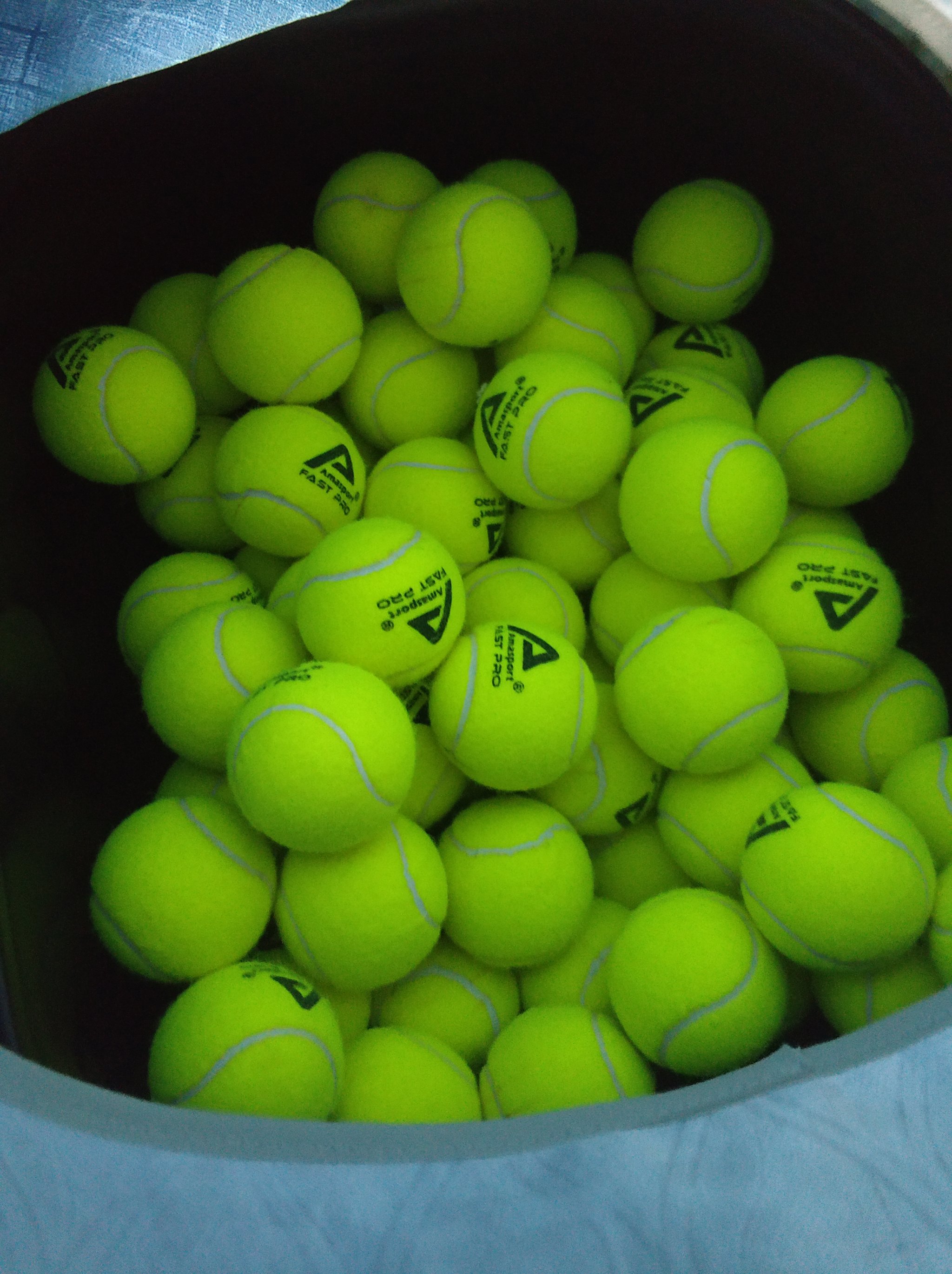 的全力支持 的全力支持